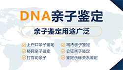 云南医院做亲子鉴定结果需要多久，云南医院办理DNA亲子鉴定费用
