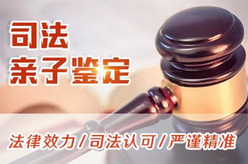 阜新司法DNA亲子鉴定费用是多少钱,阜新司法亲子鉴定如何办理