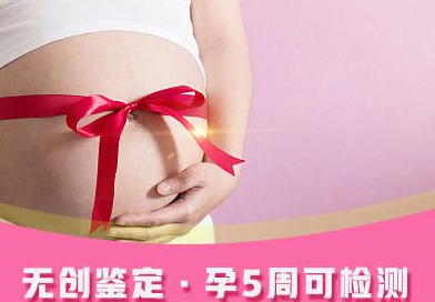 云南怀孕45天能做产前亲子鉴定吗,云南做无创怀孕亲子鉴定大概多少费用 云南怀孕45天能做产前亲子鉴定吗,云南做无创怀孕亲子鉴定大概多少费用