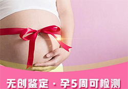吉林省孕期亲子鉴定咨询预约，吉林省怀孕亲子鉴定机构在哪里有