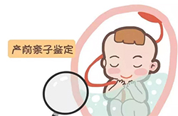 湖南孕期亲子鉴定预约，湖南怀孕亲子鉴定机构地址在哪