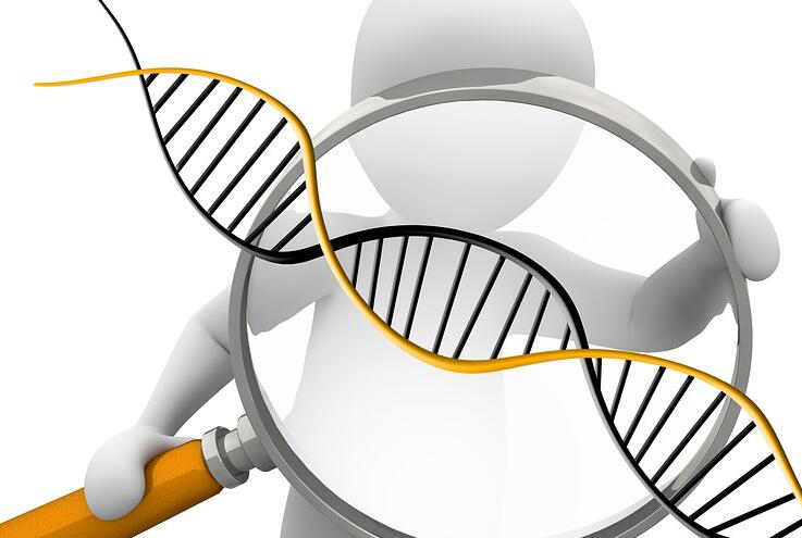 甘肃怀孕亲子鉴定预约,